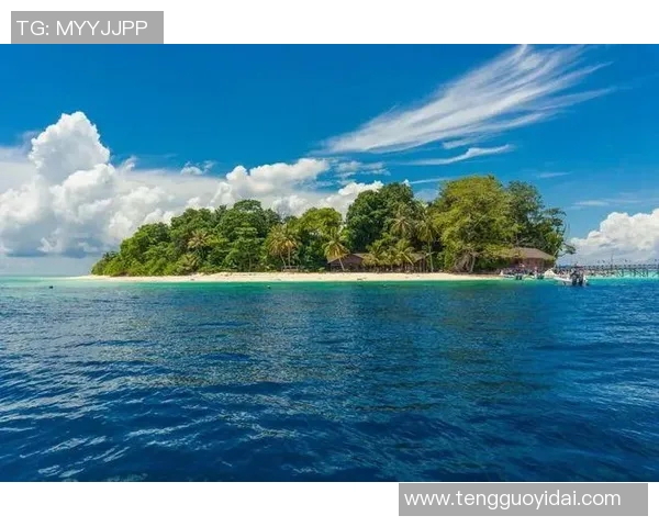 杭州极限运动队速度之争引发热议运动员表现与赛事规则的深度探讨